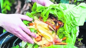 Alimentos inocuos, mejor salud