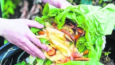 Reducir las pérdidas y desperdicios de alimentos