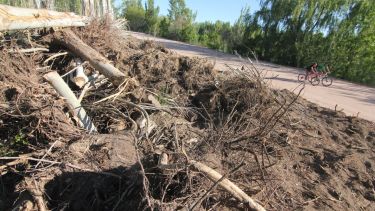 Península de Hiroki. El municipio habla de 30 álamos talados para hacer el camino hasta el encuentro de los ríos, los vecinos hablan de centenares de árboles y de especies protegidas arrasadas. El  Defensor exige respuestas por los humedales tapados con basura (foto Oscar Livera)