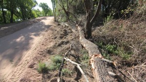 Obra del Paseo Costero: apuntan al Municipio por irregularidades en expedientes