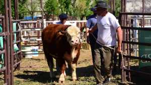 La Expo Rural Ganadera del Alto Valle regresa con una nueva edición a Roca