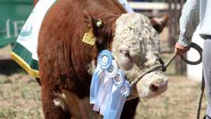 Expo Rural de Paso Córdoba: “Sufrimos, pero estamos retornando”