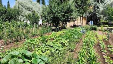 El encuentro tendrá lugar en el Complejo Agroindustrial, ubicado sobre la Ruta Nacional 22, en el kilómetro 1205 y Avenida 1° de Mayo, sobre la entrada a Isla 10 en Fernández Oro.