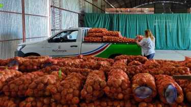 Donaron 7 mil kilos de cebolla que habían sido decomisados en Río Colorado