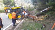 Imagen de Este lunes el viento sigue causando problemas en Neuquén con suspensión de clases y árboles sobre rutas