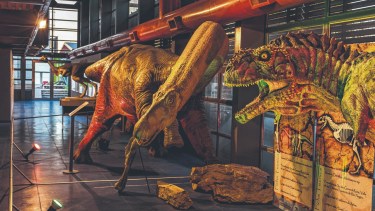 En el museo permanentemente se está generando conocimiento científico del estudio de los materiales que están depositados.