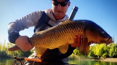 Matías y una carpa de 7 kilos del Limay Inferior. "Donde antes sacábamos truchas ahora sacamos carpas... Sino podemos vencerlas, vamos a pescarlas todo el año", dice.