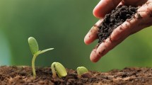 Imagen de Cipolletti: Encuentro Regional Agroecológico en el mes de la Soberanía Alimentaria