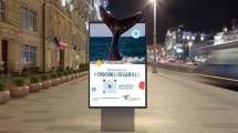 Imagen de Las ballenas llegan a Buenos Aires: Puerto Madryn ofrece beneficios en experiencias, alojamiento y gastronomía