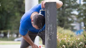 El 2021 es uno de los años más cálidos y secos en Argentina: Río Negro tuvo temperaturas extremas
