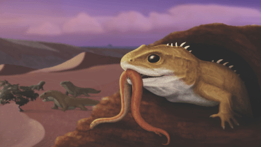 Presencia. Así era la especie de esfenodonte Tika giacchino que se identificó ahora en Río Negro.