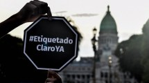 Imagen de Diputados sesiona el martes con el foco en el debate por el etiquetado frontal