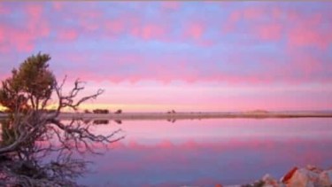 Islote Lobos. Foto: gentileza Fernando Frassetto.-