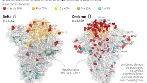 Primera imagen de ómicron, la variante de coronavirus que preocupa al mundo