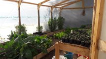 Imagen de La huerta: un escape a la violencia