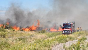 Los bomberos de Río Negro llegarán antes a los incendios con una APP creada por estudiantes