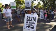 Imagen de Donaron los órganos de Lucas González: «Su corazón va a estar latiendo en algún lugar»