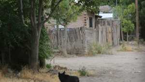 Tiros y heridos en un enfrentamiento en el barrio Alta Barda de Roca