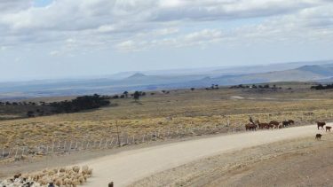 Encontraron el cuerpo de otro criancero cerca de Taquimilan. Foto: Archivo. 