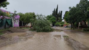 Alerta amarillo por viento intenso y tormentas: cayó granizo en Valle Medio