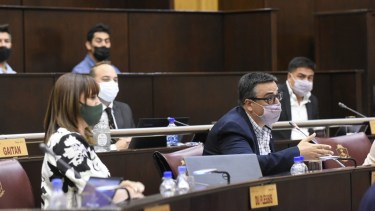 El presidente del bloque del MPN, Maximiliano Caparroz, pidió que el proyecto siga en la comisión de Trabajo. Foto: Florencia Salto.