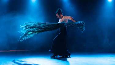 El show fue traído a la región por la artista roquense Mónica Romero. Foto gentileza