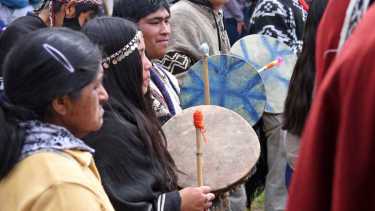 Las comunidades de la cuenca de Ruca Choroi ya practican hace años su medicina, pero sin reconocimiento oficial. Foto: Florencia Salto.