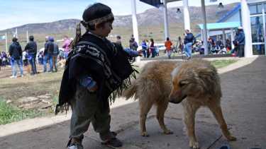 Un niño de la comunidad se divierte con un perro en la inauguración del centro. Foto: Florencia Salto.