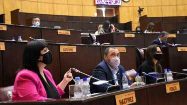 La diputada de Zapala presentó el proyecto de resolución solicitando informes sobre la Zona Franca y Parque Industrial. Foto: archivo Florencia Salto.