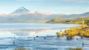 Moscas, cañas y alto caudal: consejos para el inicio de la temporada de pesca en la boca del Chimehuín