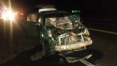 El vehículo impactó de lleno contra los animales que habían escapado de un corral, cerca de Olavarría. (foto; gentileza enlineanoticias)