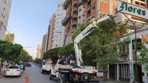 Cayó un ladrillo de un edificio sobre un auto y paralizaron la obra en pleno centro de Neuquén