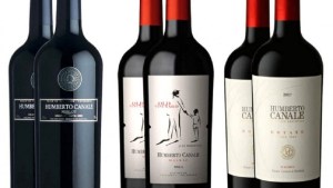 Bodega Canale &#8211; Club Río Negro: una promoción exclusiva que merece un brindis