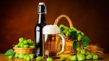 Imagen de Cipolletti: conocé la cerveza artesanal con toque de lavanda de edición limitada