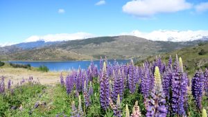 Pronóstico: te contamos si vuelven a subir las temperaturas este miércoles en la región