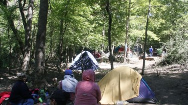 El predio en el que se ubica la toma está a metros del ingreso al Parque Nacional Lanin, en zona boscosa. Foto: Relidad Sanmartinense.