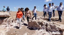 Imagen de Estiman que la planta de hidrógeno verde dará empleo a más de 16.500 trabajadores