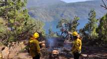 Imagen de Sobrevuelan el incendio de lago Martin para definir cómo siguen las tareas