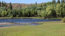 Imagen de Parque costero Isla Jordán, para pasar el finde a pleno cerca de Cipolletti