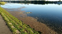 Imagen de El Municipio de Viedma intimó al DPA y ARSA por los desbordes cloacales que van a parar al río Negro