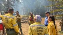 Imagen de Sin viento intentan cercar el incendio forestal sin control en Aluminé