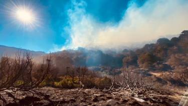 El fuego en Quillén, sigue descontrolado. Foto: Facebook gabriel.alamo.14