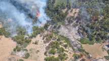 Imagen de Qué dijo la empresa de helicópteros sobre la tragedia en Aluminé