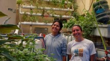 Imagen de Impulsan la acuaponia con el cultivo de peces y plantas