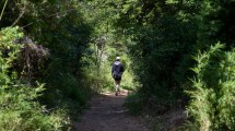 Imagen de Pasó la floración de la caña, pero hay más temor al hantavirus