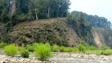 En la confluencia de los ríos Villegas y Manso el cortafuegos ya está listo (Foto: Chino Leiva)