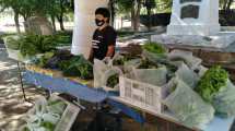 Imagen de Con gran éxito, Comallo apuesta a la producción de verduras y hortalizas