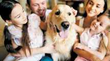 Imagen de Familias multiespecies: 5 razones a tener en cuenta