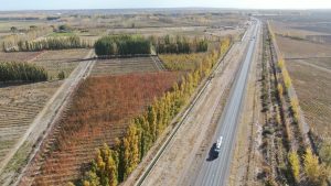 Aclaran que los radares de El Chañar están habilitados y que iniciaron las multas económicas