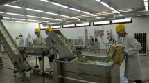 Imagen de Una mano  tecnológica ligada a la producción
